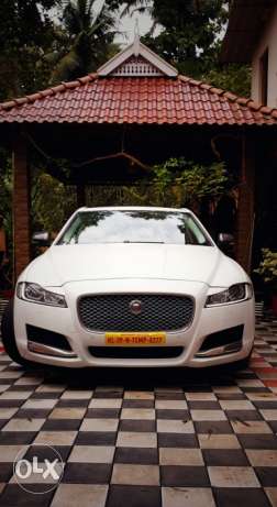 Brand new jaguar for all types of events with
