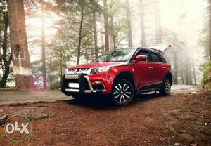 Maruti Suzuki Vitara Brezza diesel  Kms  year