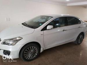 Maruti Suzuki Ciaz petrol  Kms  year