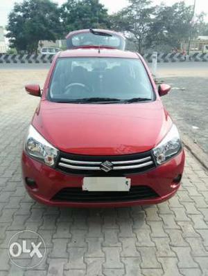 Maruti Suzuki Celerio petrol  Kms  year