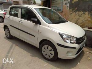 Maruti Suzuki Celerio petrol  Kms  year