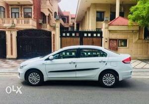 Maruti Suzuki Ciaz diesel  Kms  year