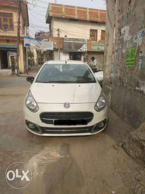 Fiat Punto Evo diesel  Kms  year