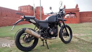 Himalayan 411cc (in Bhopal) | Exchange Bike/Car Honda Brio