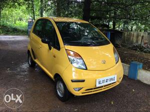 Tata Nano petrol  Kms  year