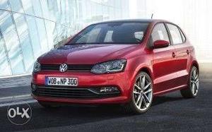 Volkswagen Polo petrol  Kms  year