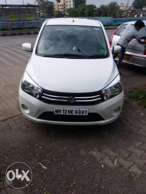 Maruti Suzuki Celerio diesel  Kms  year