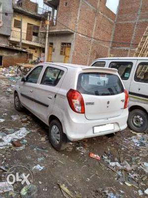 Alto 800 VXI Top Model