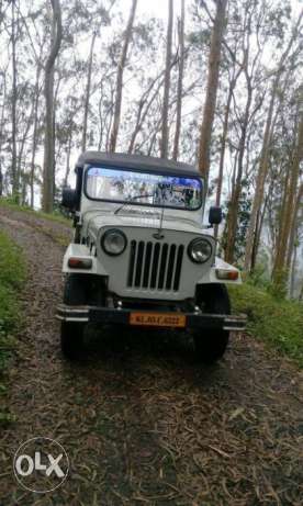  Mahindra Others diesel 123 Kms