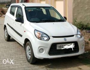  Maruti Suzuki Alto 800 petrol  Kms