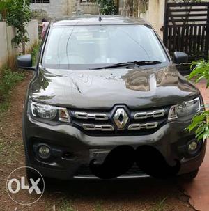 Renault Kwid petrol  Kms  year