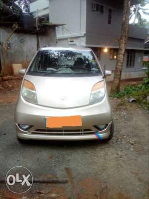 Tata Nano petrol  Kms  year