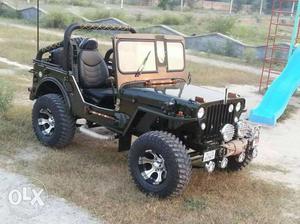 We are build all type of jeeps and thars. we are