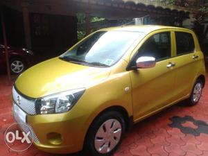 Lady Bank manager's celerio VXI Automatic fullop