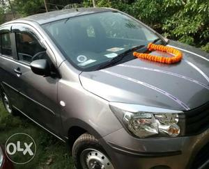  Maruti Suzuki Celerio petrol  Kms