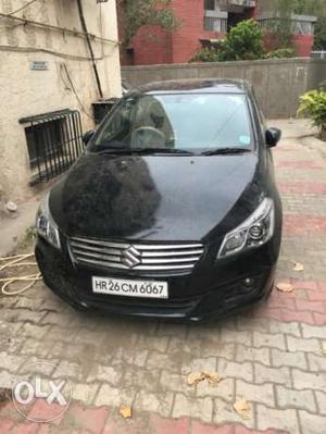 Maruti Suzuki Ciaz For Sale