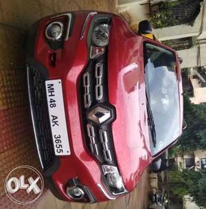 Renault Kwid petrol  Kms  year