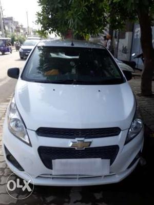 Chevrolet Beat petrol  Kms  year