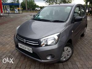  Maruti Suzuki Celerio petrol  Kms