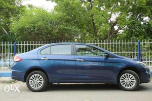 Maruti Suzuki Ciaz petrol  Kms  year