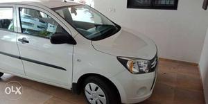 Maruti Suzuki Celerio cng  Kms  year