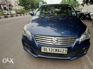 Maruti Suzuki Ciaz petrol  Kms  year