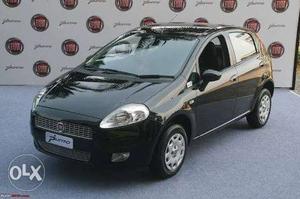 Fiat Punto Evo diesel  Kms  year
