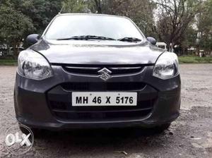 Maruti Suzuki Alto 800 petrol  Kms  year