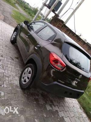 Renault Kwid petrol  Kms  year