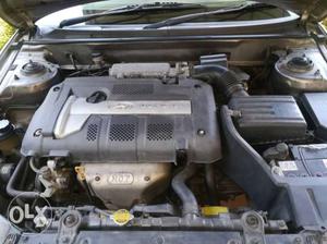 Hyundai Elantra petrol  Kms  year