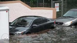 Wanted flood affegted cars? any company any model good rate