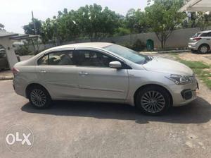  Maruti Suzuki Ciaz diesel  Kms