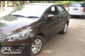 Maruti Suzuki Ciaz Vxi +, , Petrol