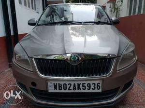 Skoda Fabia Active Plus 1.2 Mpi, , Petrol