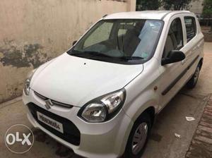 Maruti Suzuki Alto 800 Vxi, , Petrol