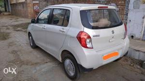 Maruti Suzuki Celerio petrol  Kms  year