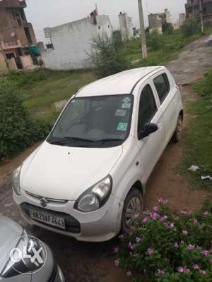 Maruti alto 800 lxi cng Company Fitted