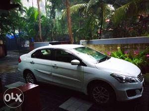 Maruti Suzuki Ciaz petrol  Kms  year