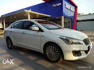 Maruti Suzuki Ciaz Zdi+ Shvs, , Diesel