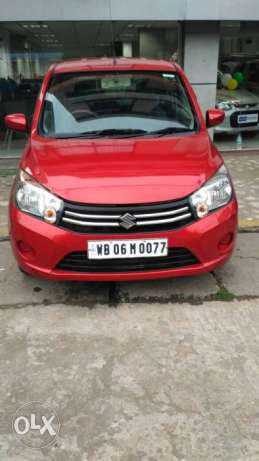 Maruti Suzuki Celerio petrol  Kms  year