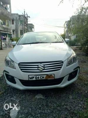 Maruti Suzuki Ciaz petrol  Kms  year