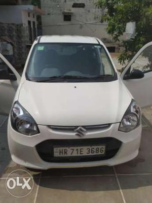  Maruti Suzuki Alto 800 petrol  Kms