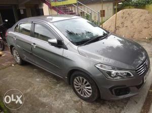 Maruti Suzuki Ciaz Vxi, , Petrol