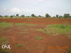 Loooking land to buy,if some one has good land for farm