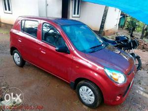 Maruti Suzuki Alto petrol  Kms  year