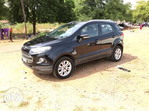 Ford Ecosport petrol  Kms  year