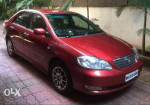 Used Corolla - great condition for SALE