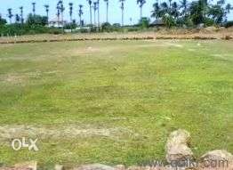 Agriculure land for sale