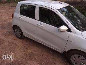 Maruti Suzuki Celerio petrol  Kms  year