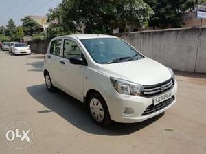 Maruti Suzuki Celerio petrol  Kms  year